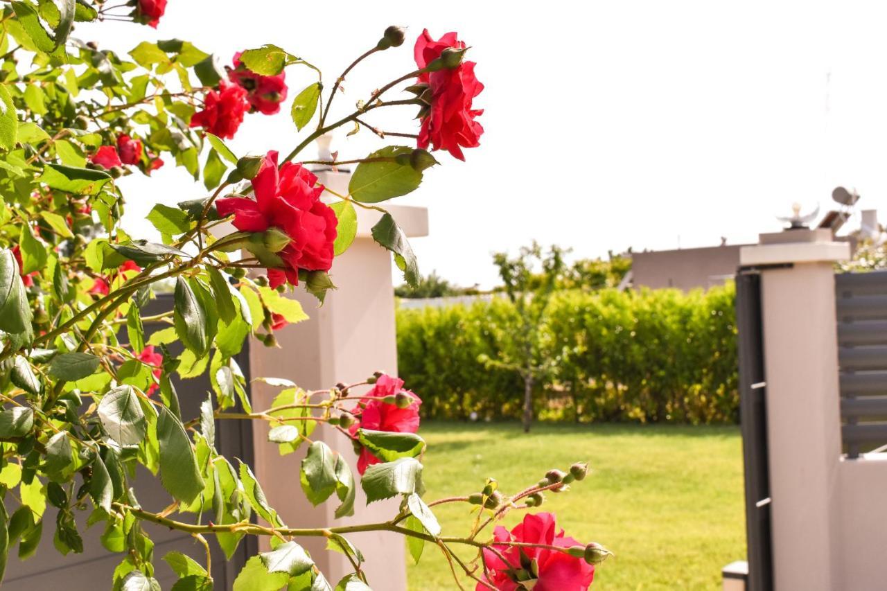 Villa Aurelia *